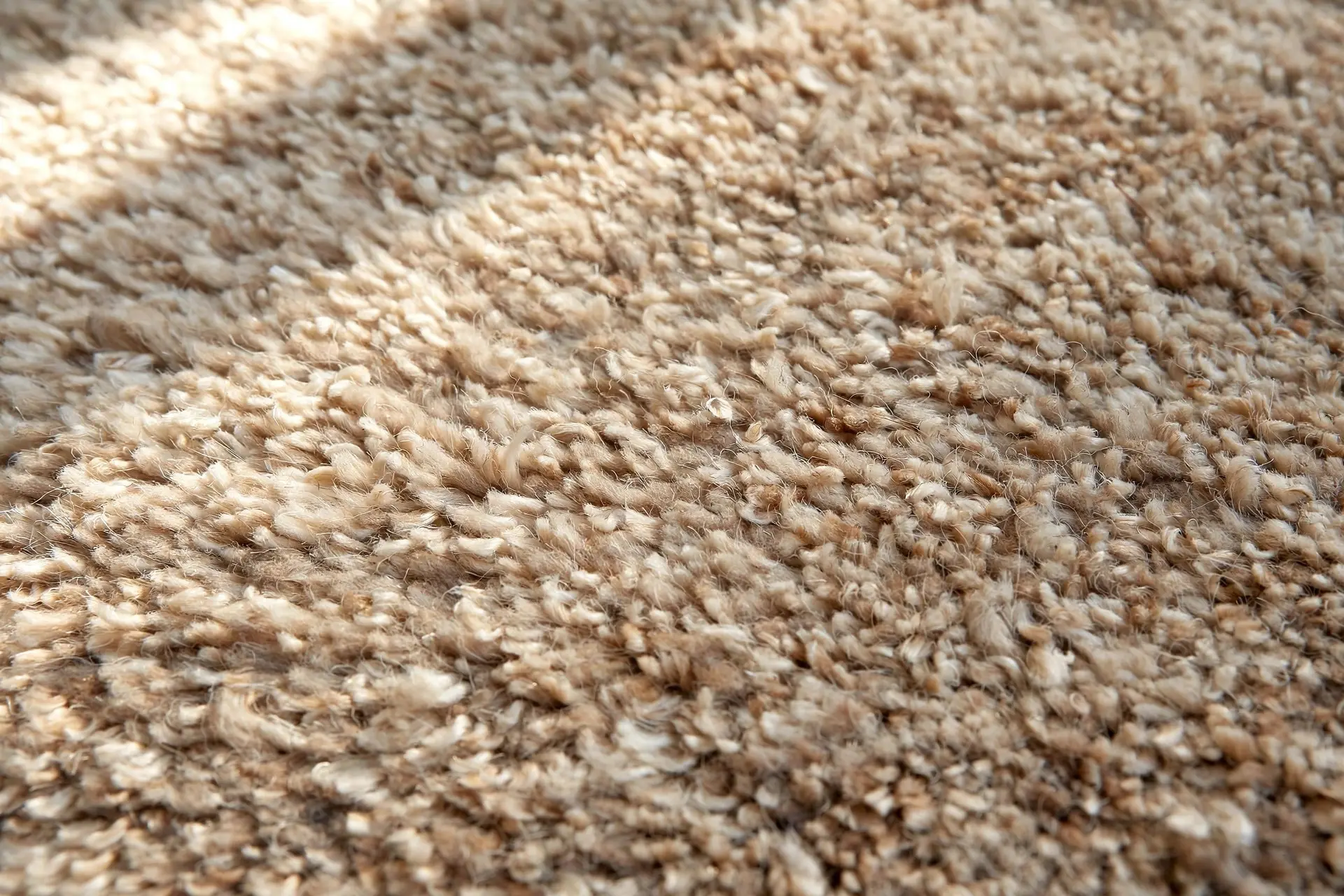 Rug Size for Queen Bed: The Placement Rules That Make a Room Look Finished 7 Close-up of a soft wool rug texture: low pile for the perfect rug size for queen bed